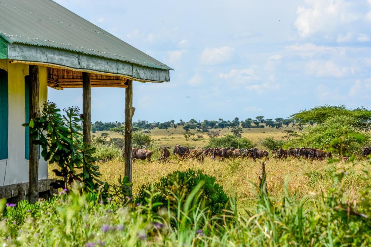 Africa Safari Serengeti Ikoma Exterior photo