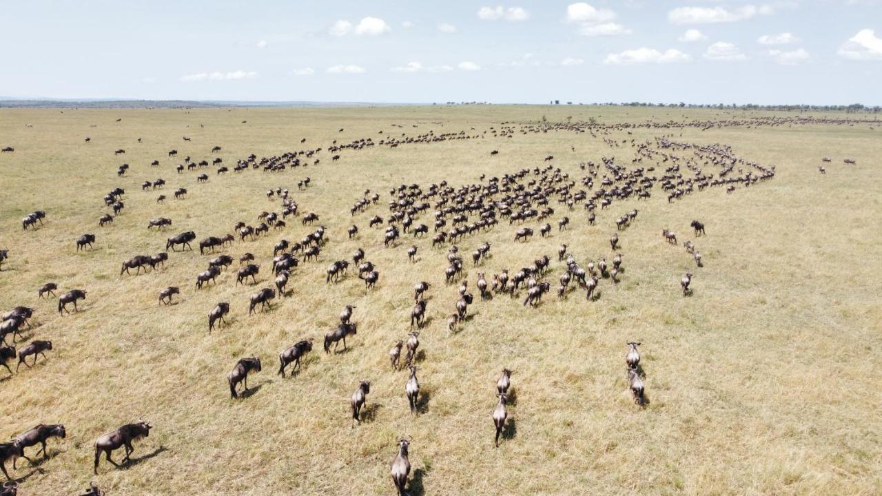 Africa Safari Serengeti Ikoma Exterior photo