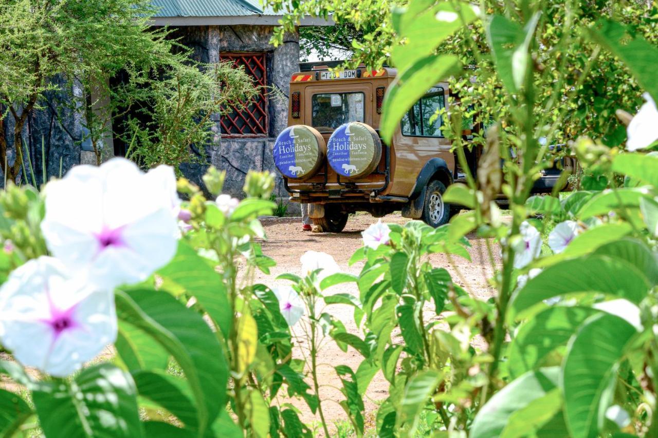 Africa Safari Serengeti Ikoma Exterior photo
